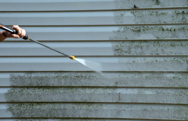 Best Mold Cleaning Services  in Line Acres, MO
