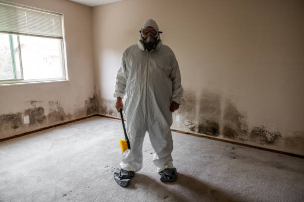 Best Mold Damage Repair  in Line Acres, MO